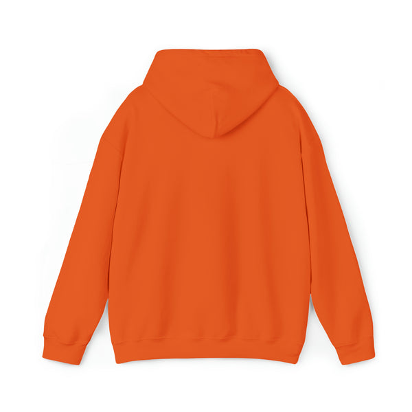 Nozomu Autumn Aesthetic Unisex Hooded Sweatshirt